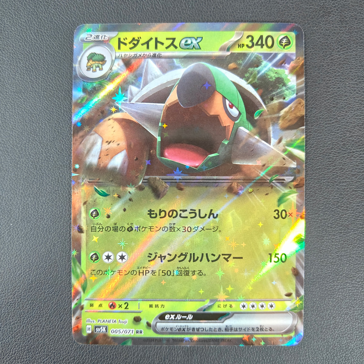 TORTERRA EX (SV5K 005)