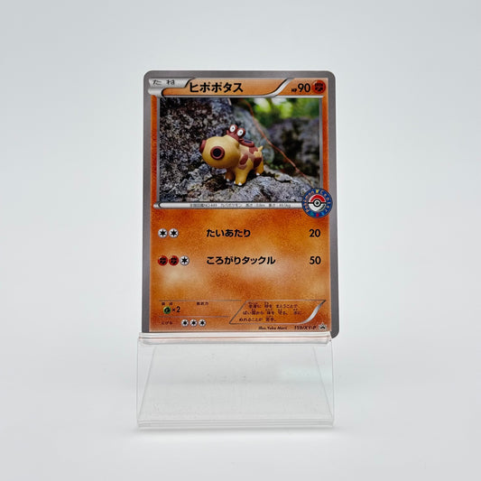 HIPPOPOTAS (XY-P 159)
