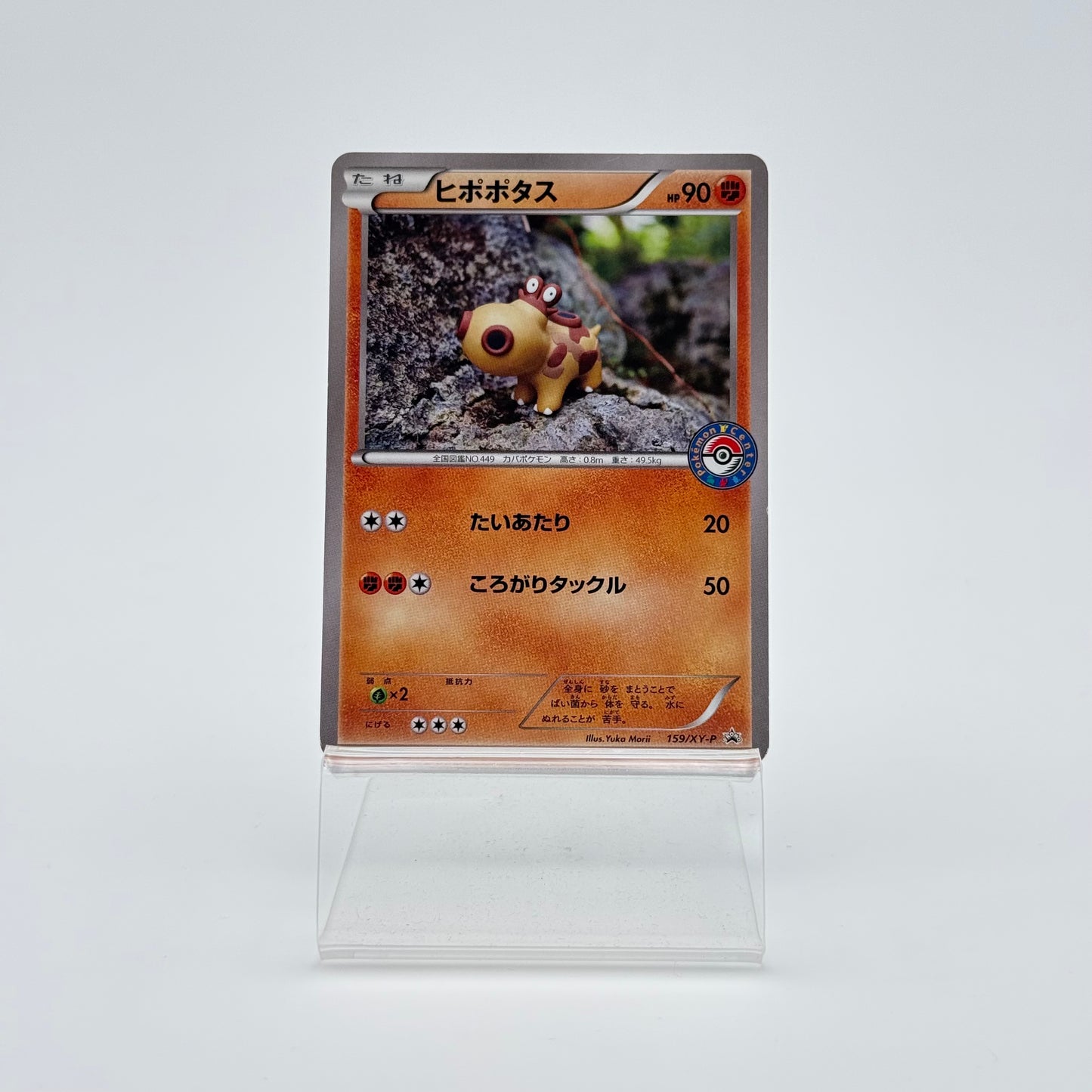 HIPPOPOTAS (XY-P 159)