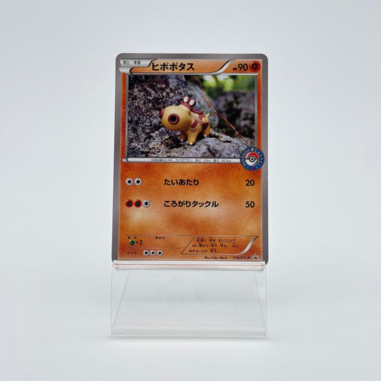 HIPPOPOTAS (XY-P 159)
