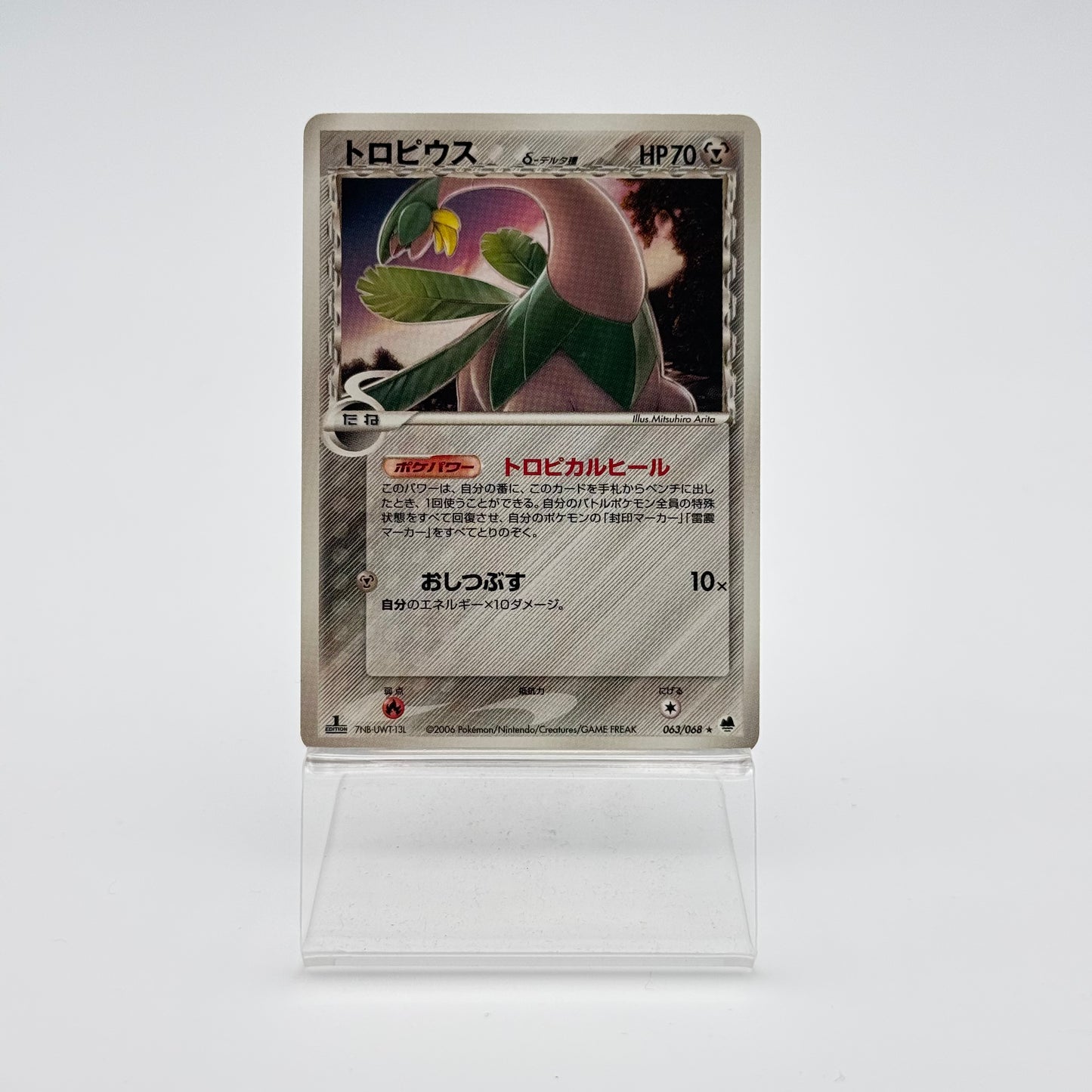 TROPIUS ? DELTA SPECIES (PCG9 063)