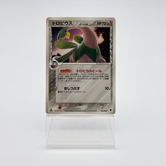 TROPIUS ? DELTA SPECIES (PCG9 063)