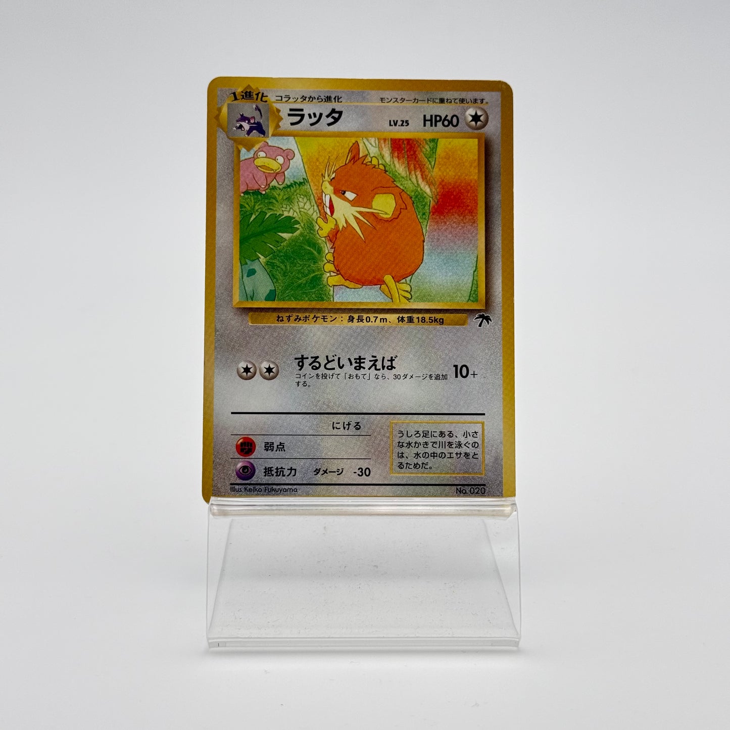 RATICATE (SI-JP 020)