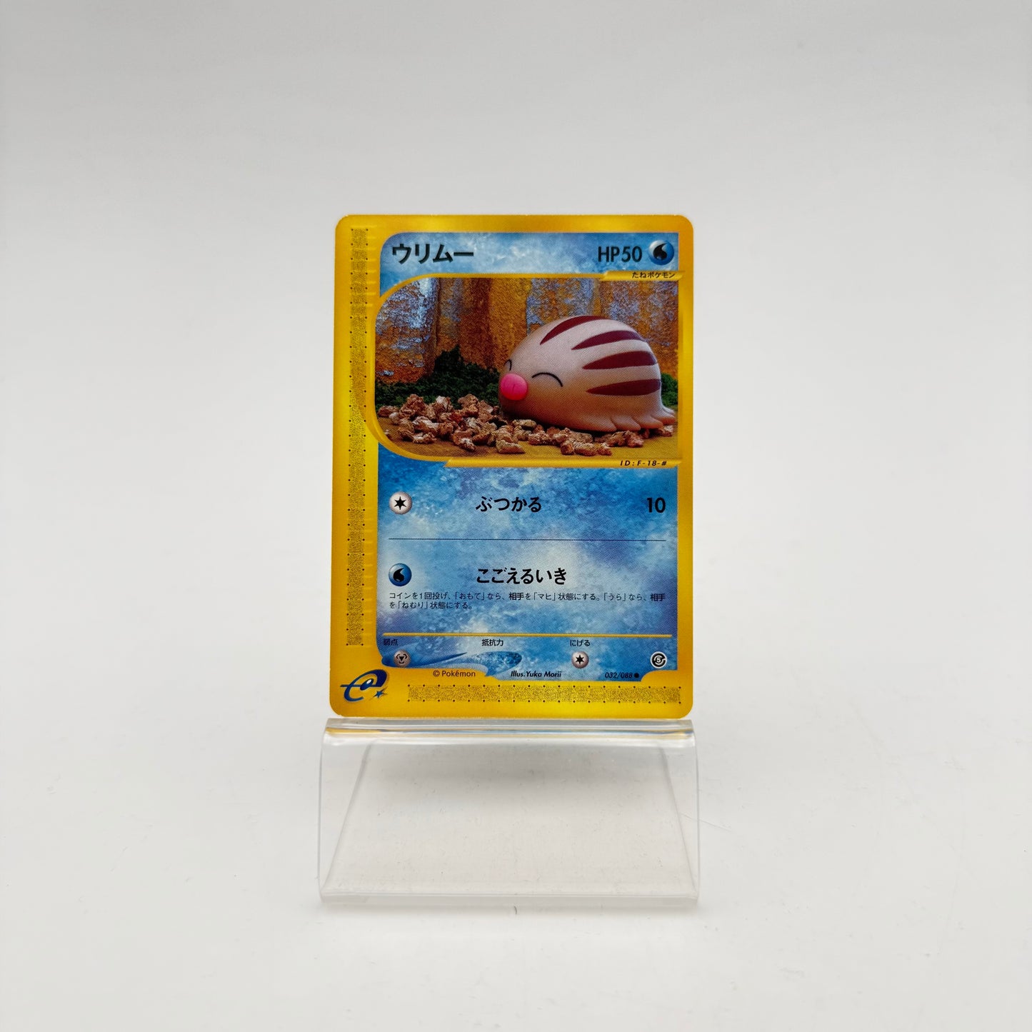 SWINUB (EC5 032)
