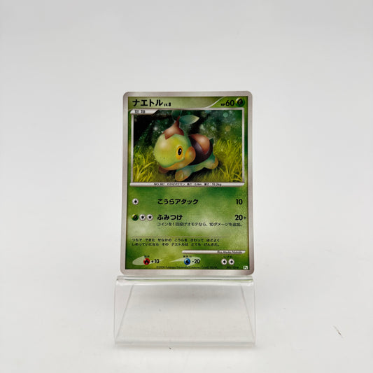TORTIPOUSS LV.8 (PTT 001)