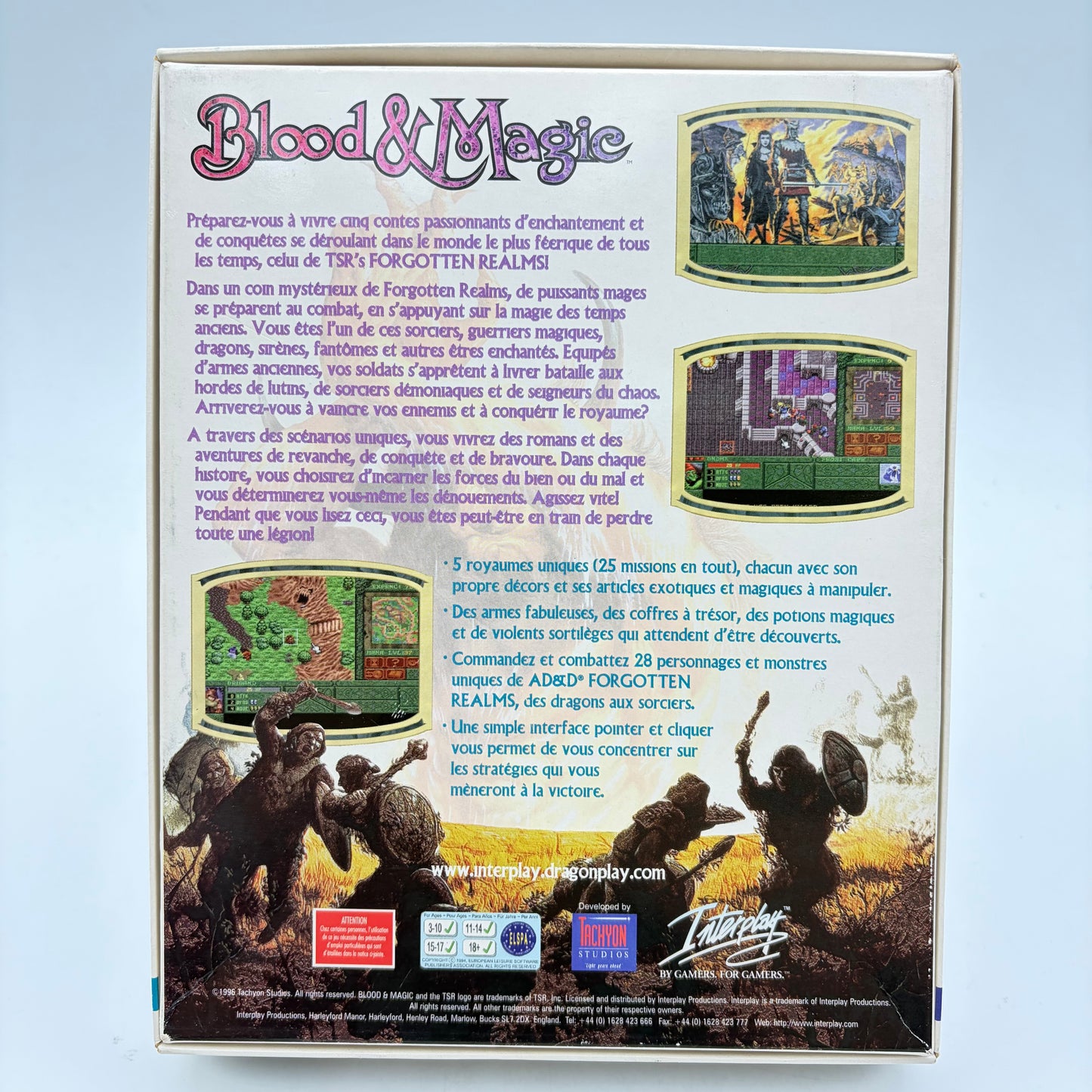 DUNGEONS AND DRAGON - BLOOD AND MAGIC - PC BIG BOX