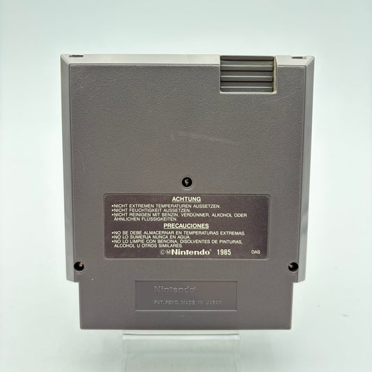 LITTLE SAMSON - NINTENDO ENTERTAINMENT SYSTEM