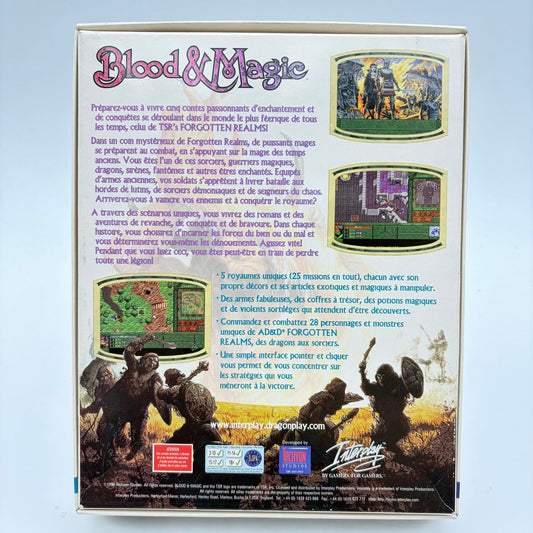 DUNGEONS AND DRAGON - BLOOD AND MAGIC - PC BIG BOX - Strike Games