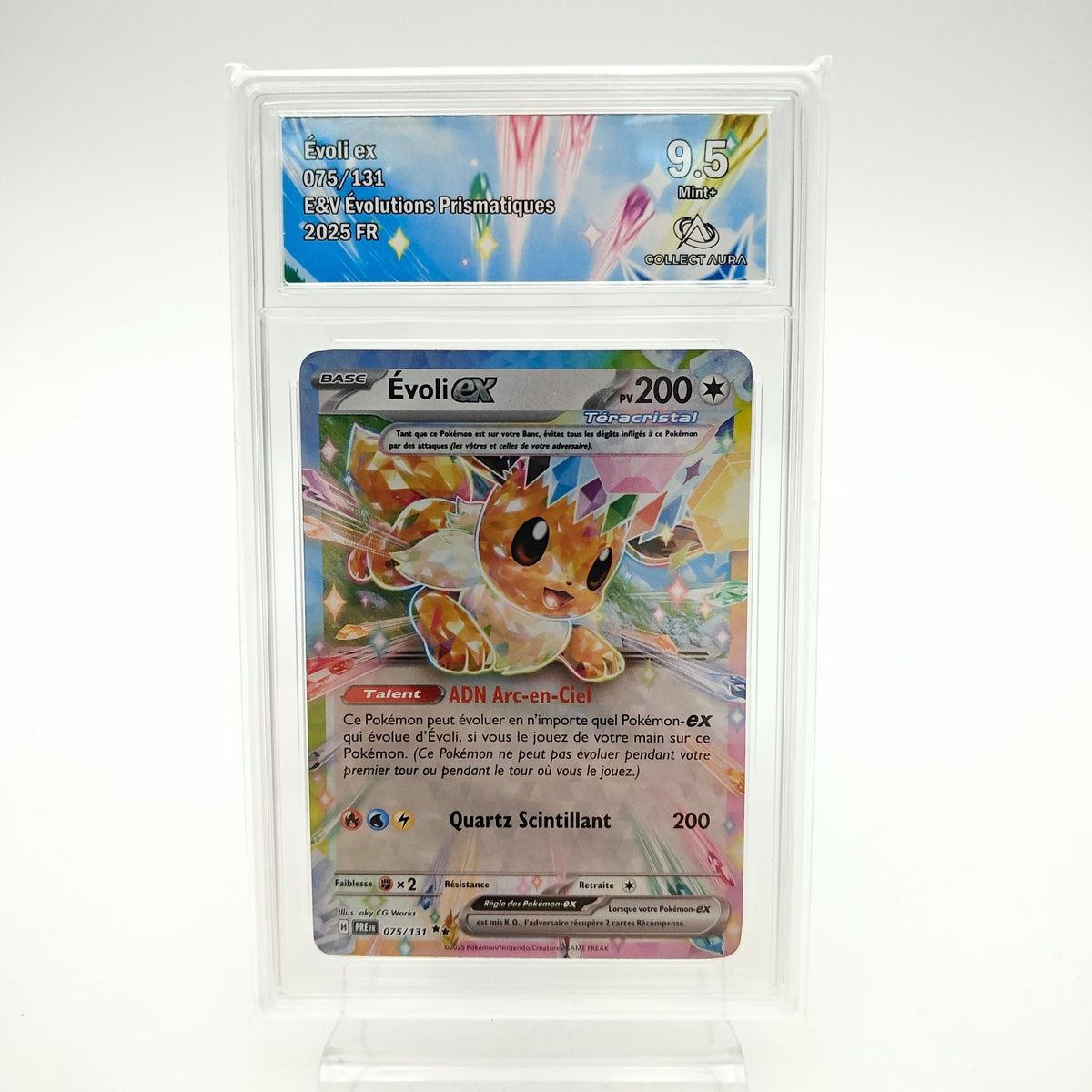 Evoli Ex (PRE - 075/131) - CollectAura 9.5 - Strike Games