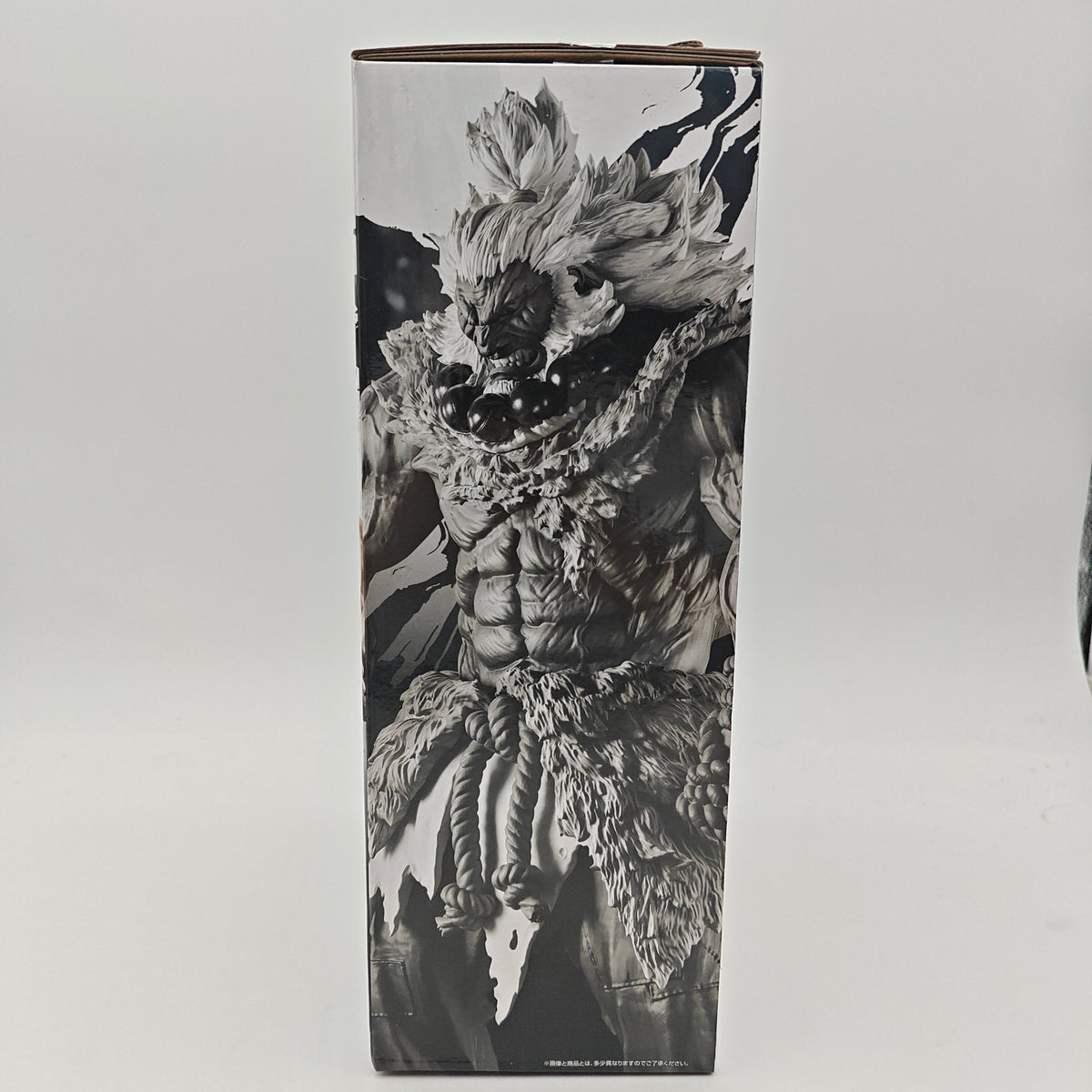 FIGURINE STREET FIGHTER 6 AKUMA - Strike Games