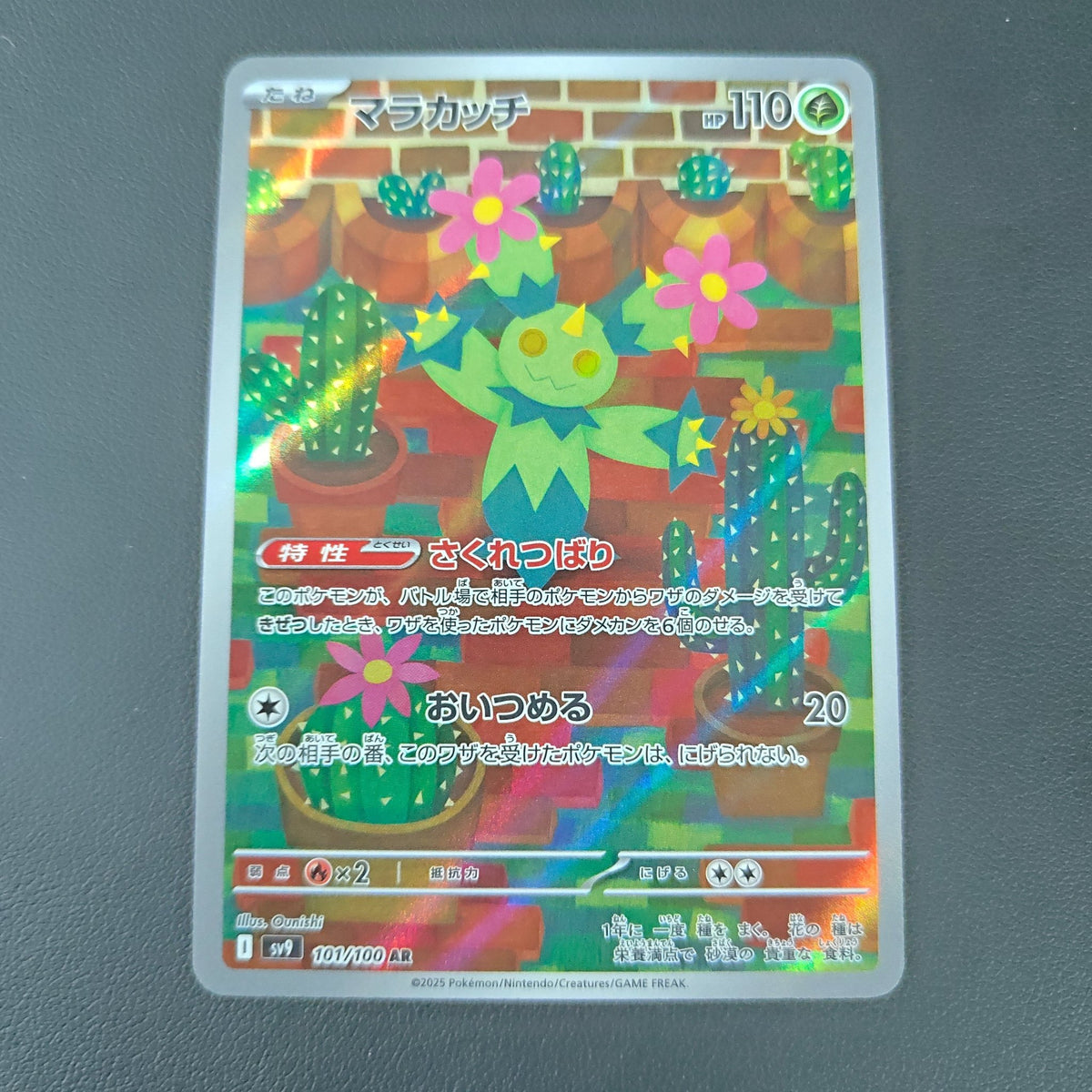 MARACACHI (SV9 101) - Strike Games
