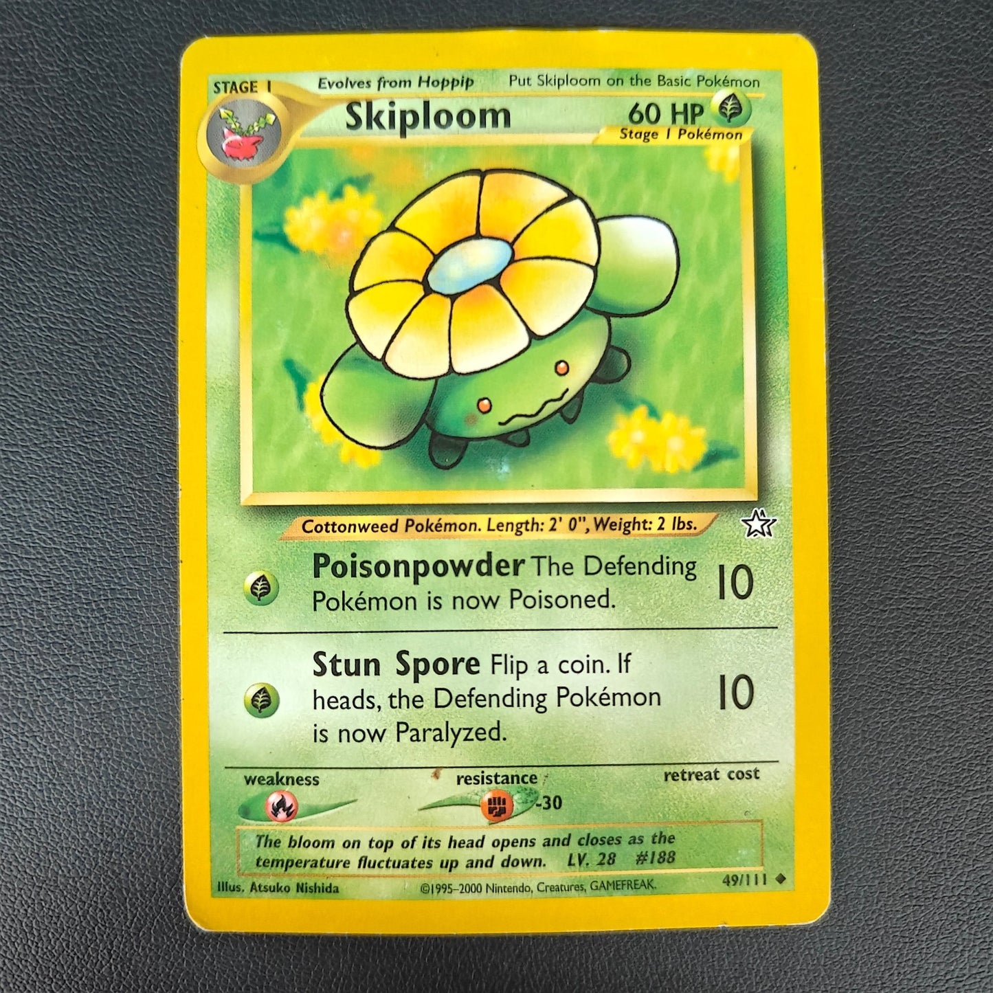SKIPLOOM (NG 49) - Strike Games