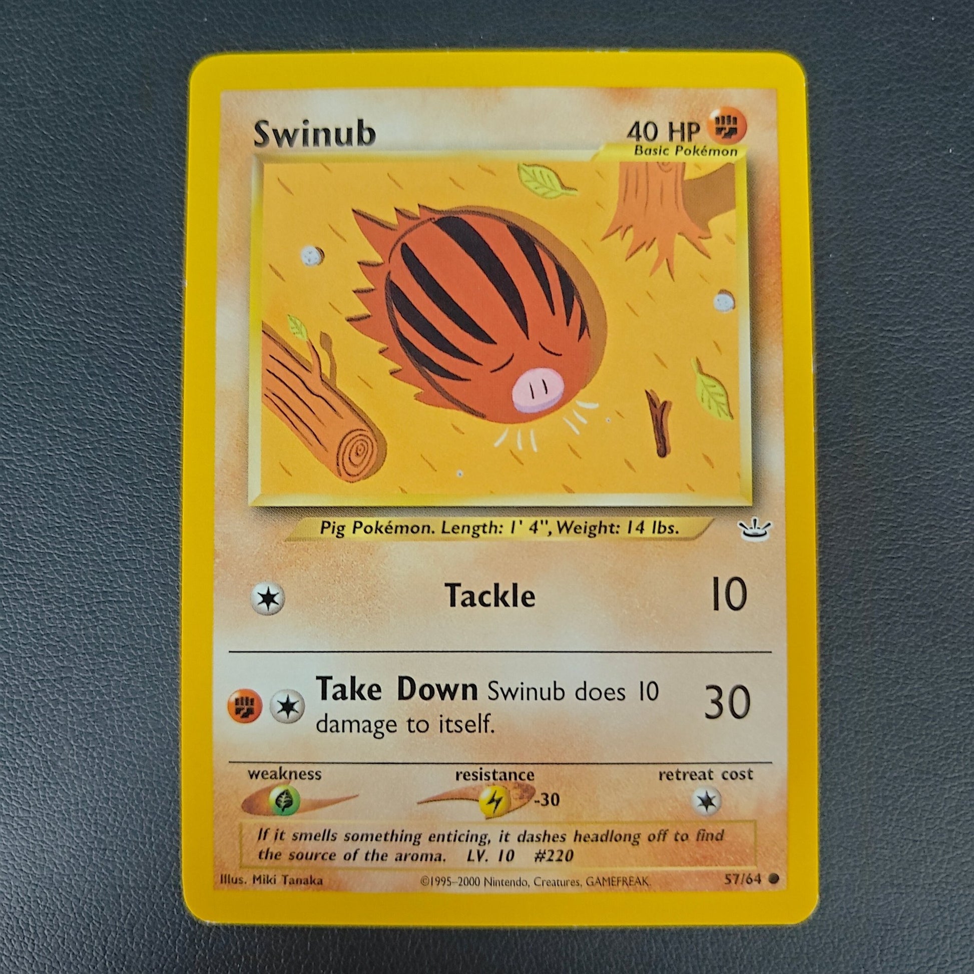 SWINUB (NR 57) - Strike Games